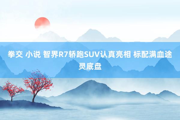 拳交 小说 智界R7轿跑SUV认真亮相 标配满血途灵底盘