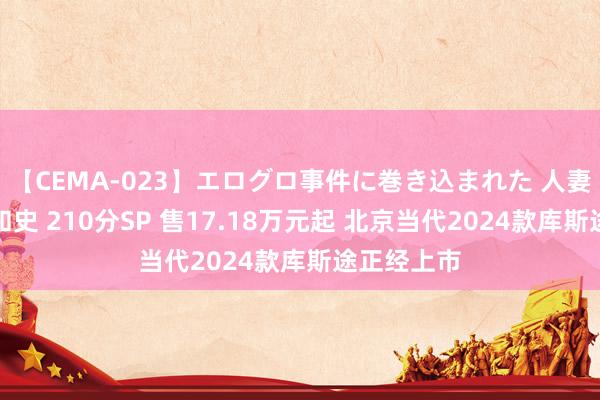 【CEMA-023】エログロ事件に巻き込まれた 人妻たちの昭和史 210分SP 售17.18万元起 北京当代2024款库斯途正经上市